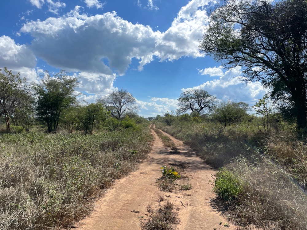 Residential vacant land for sale in Mazabuka, Zambia - 3ZA1660132