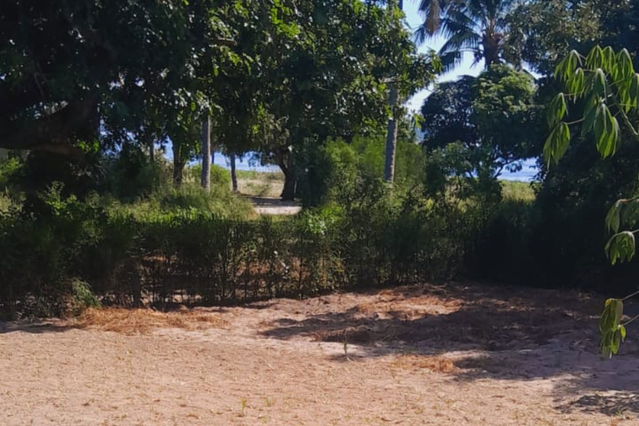 Vacant land for investment in Bilene, Mozambique - 3MQ1660200