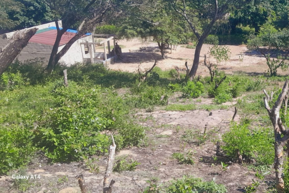 Vacant land for investment in Bilene, Mozambique - 3MQ1660200