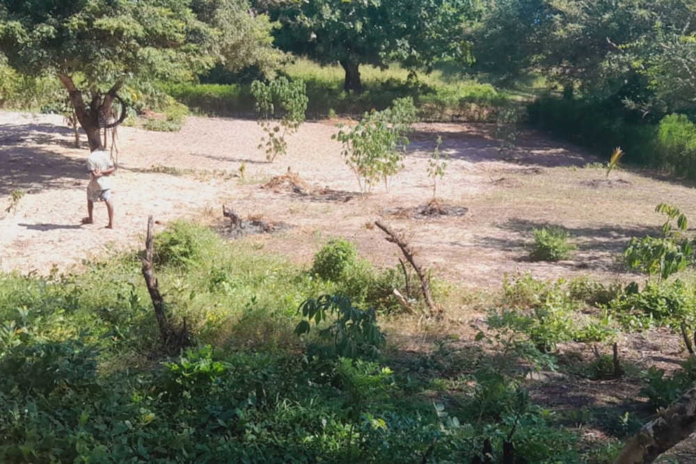 Vacant land for investment in Bilene, Mozambique - 3MQ1660200