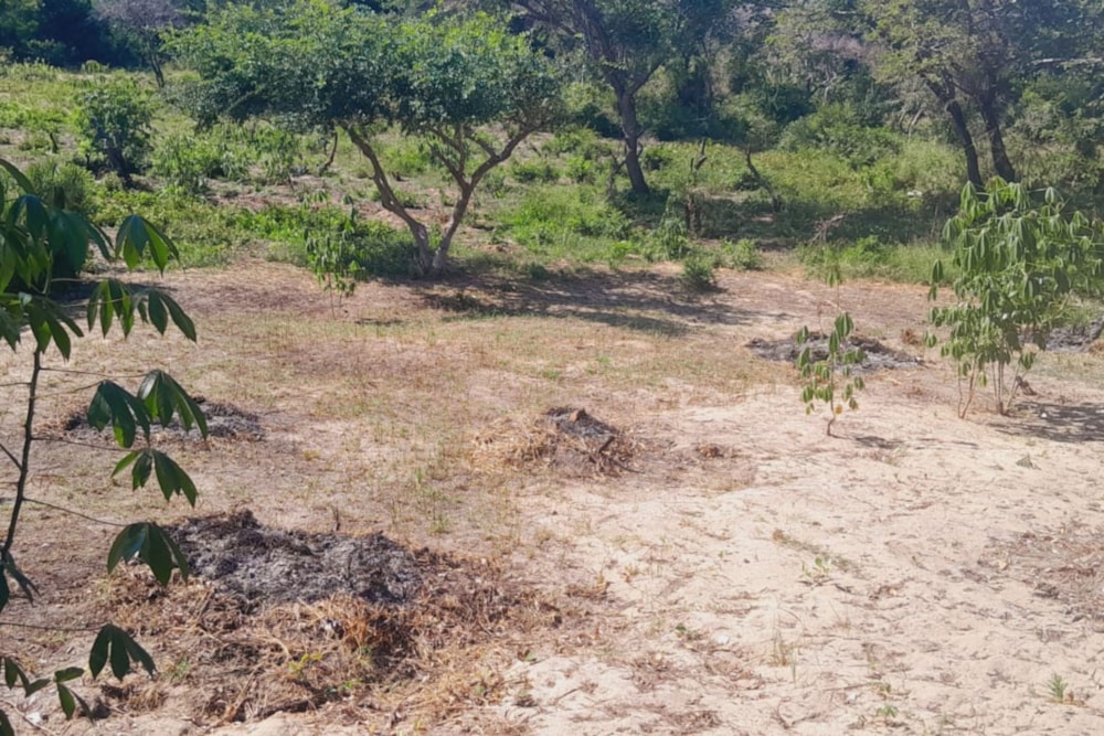 Vacant land for investment in Bilene, Mozambique - 3MQ1660200