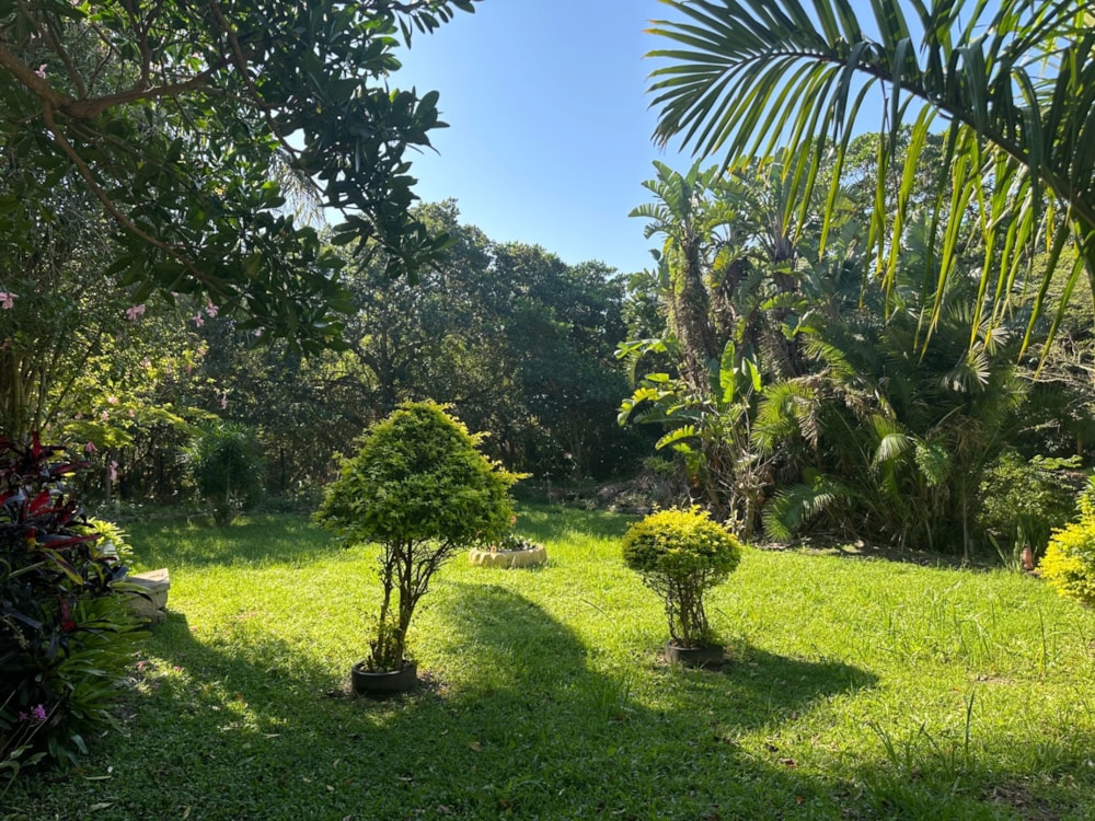 Single-storey house for sale in Palm Beach - 1PD1660257