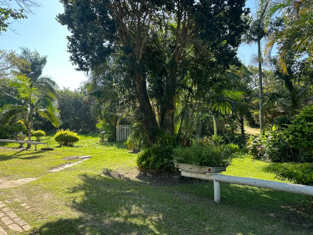 Single-storey house for sale in Palm Beach - 1PD1660257 Single-storey house for sale in Palm Beach - 1PD1660257