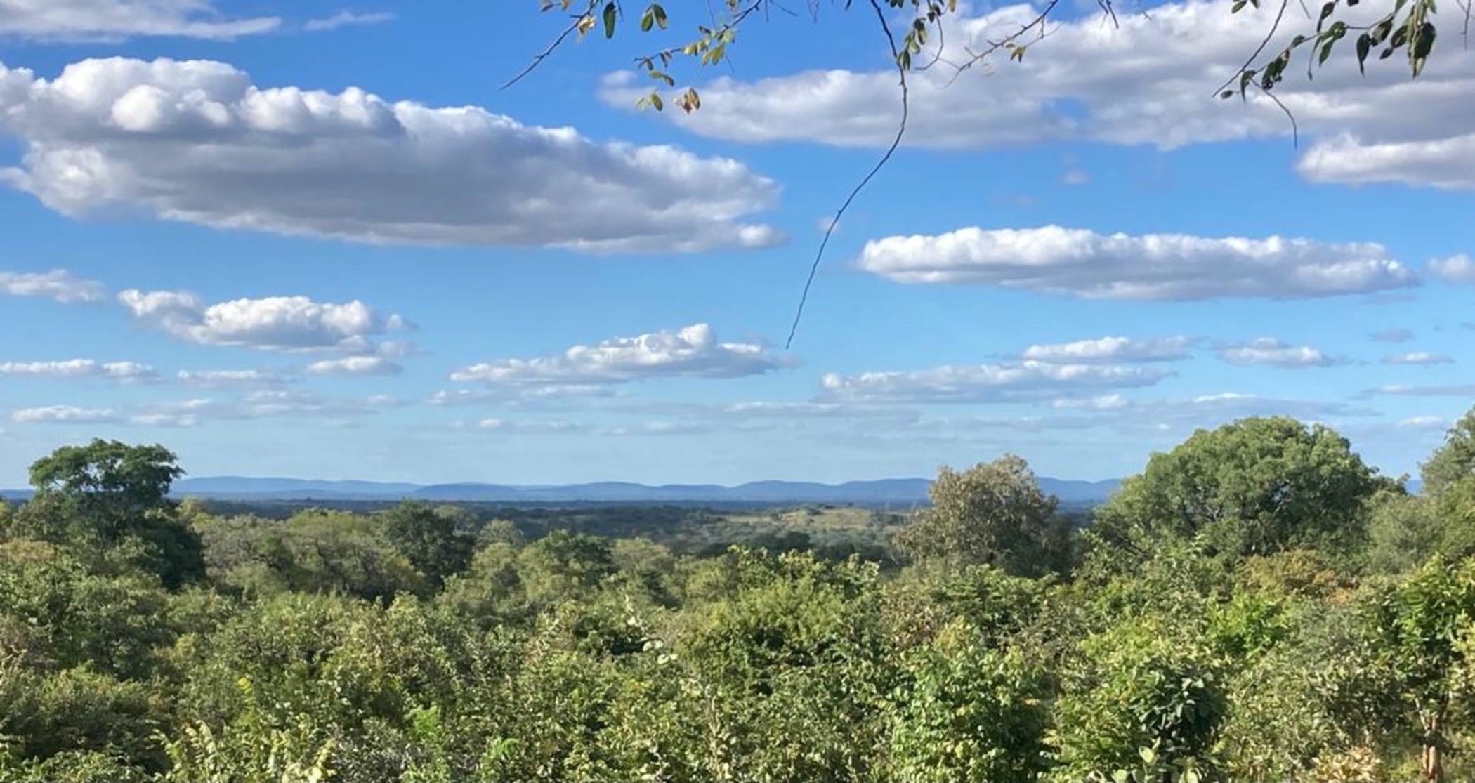 Residential vacant land for sale in Palabana, Lusaka Province, Zambia - 3ZA1660298