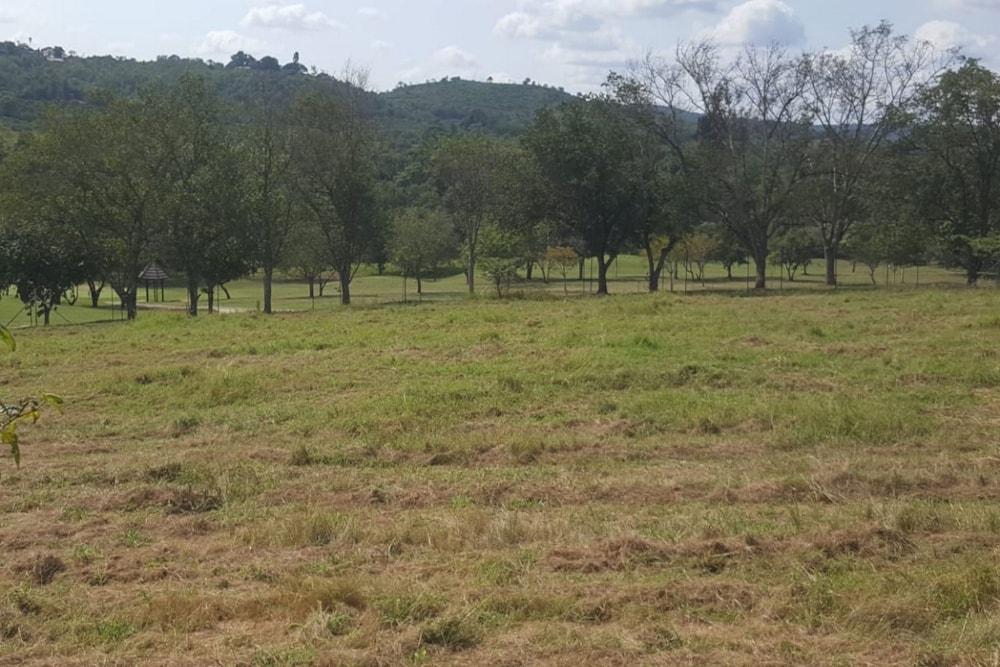 Residential vacant land for sale in Hazyview - 1WR1660364