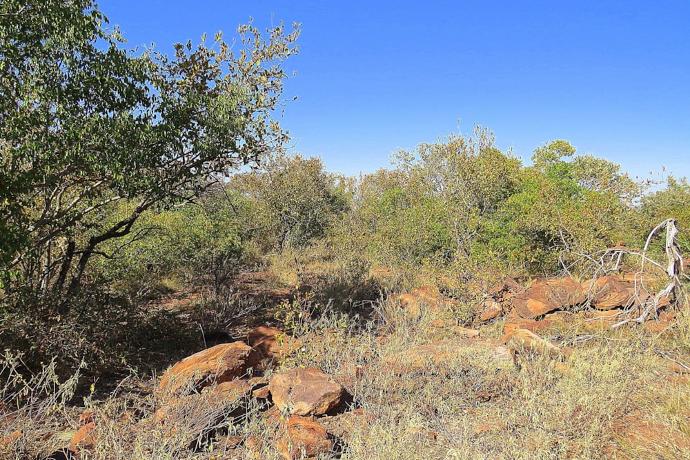 Vacant land for sale in Lephalale Rural - 1ER1659846 Vacant land for sale in Lephalale Rural - 1ER1659846