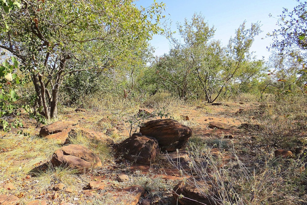 Vacant land for sale in Lephalale Rural - 1ER1659846 Vacant land for sale in Lephalale Rural - 1ER1659846