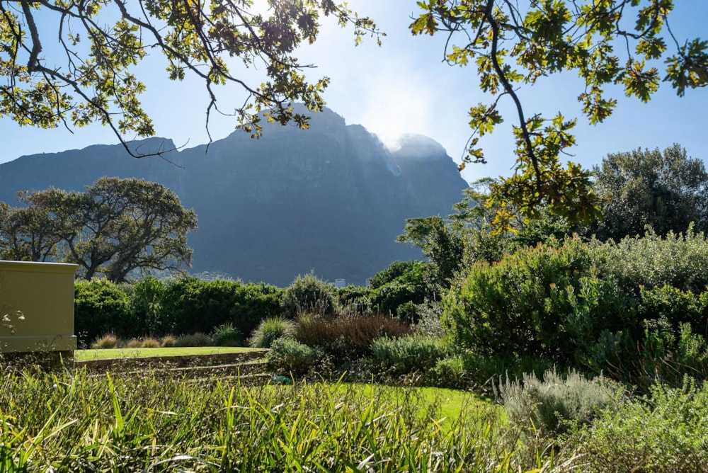 House for sale in Bishopscourt - KW1656772