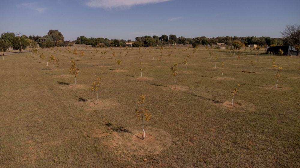 Smallholding sold in Bains Vlei - 1BX1658811 Smallholding sold in Bains Vlei - 1BX1658811