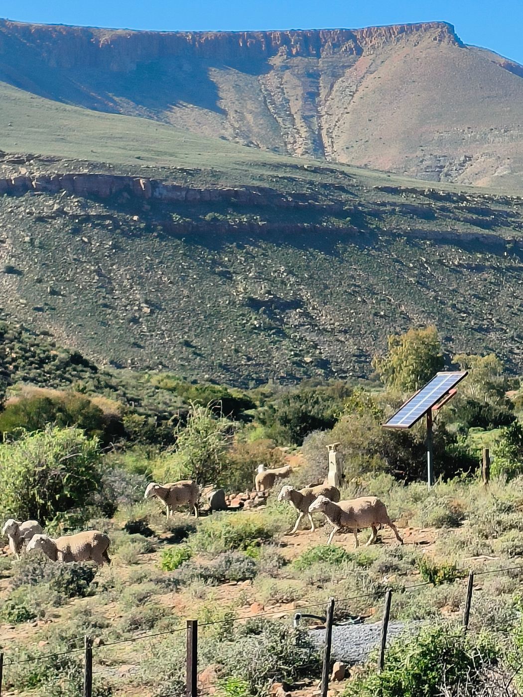 Mixed use farm for sale in Fraserburg - 1KK1389427