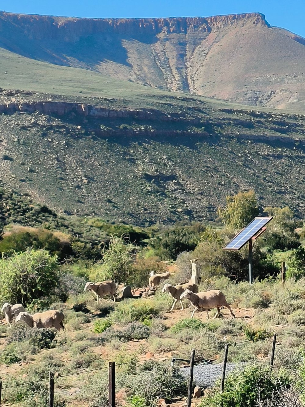 Mixed use farm for sale in Fraserburg - 1KK1389427 Mixed use farm for sale in Fraserburg - 1KK1389427