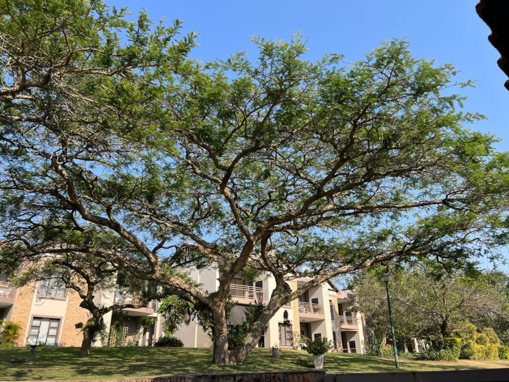 Apartment to rent in Bateleur Estate - 1NS1722001