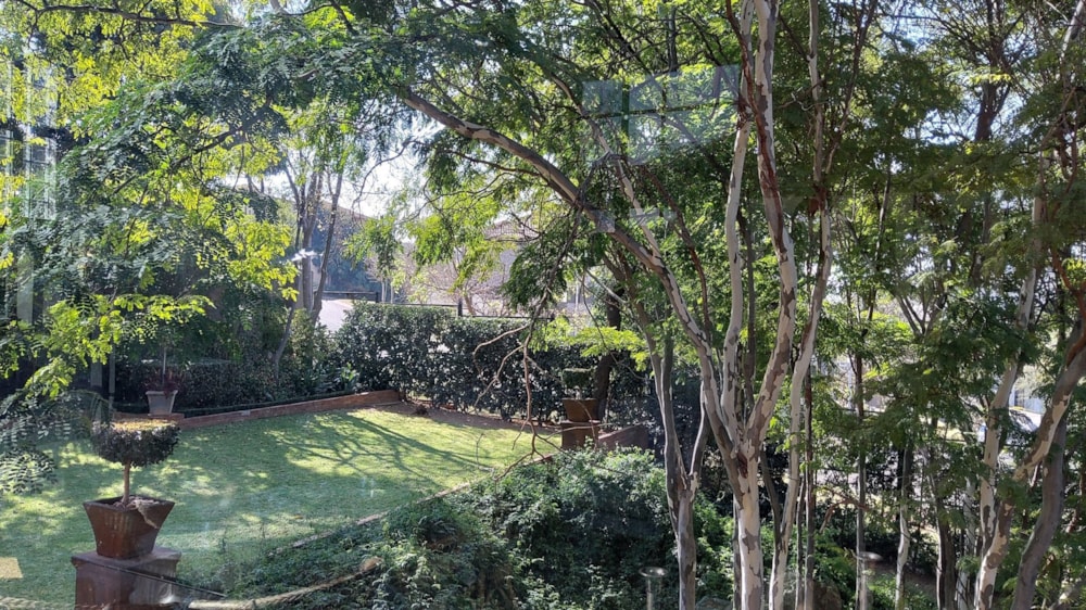 House let in Waterkloof Ridge - PTL1694356 House let in Waterkloof Ridge - PTL1694356