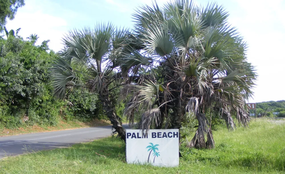 Residential vacant land for sale in Palm Beach - 1PD1442610 Residential vacant land for sale in Palm Beach - 1PD1442610