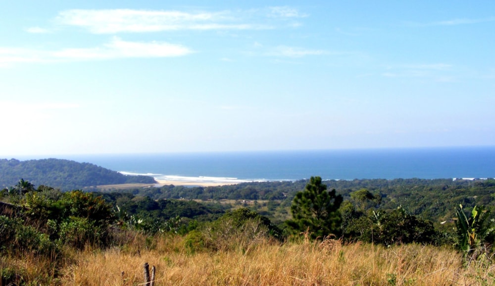 Residential vacant land for sale in Palm Beach - 1PD1442610 Residential vacant land for sale in Palm Beach - 1PD1442610