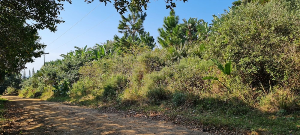 Residential vacant land for sale in Palm Beach - 1PD1442610