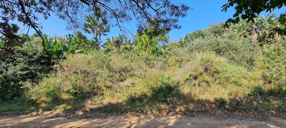 Residential vacant land for sale in Palm Beach - 1PD1442610 Residential vacant land for sale in Palm Beach - 1PD1442610