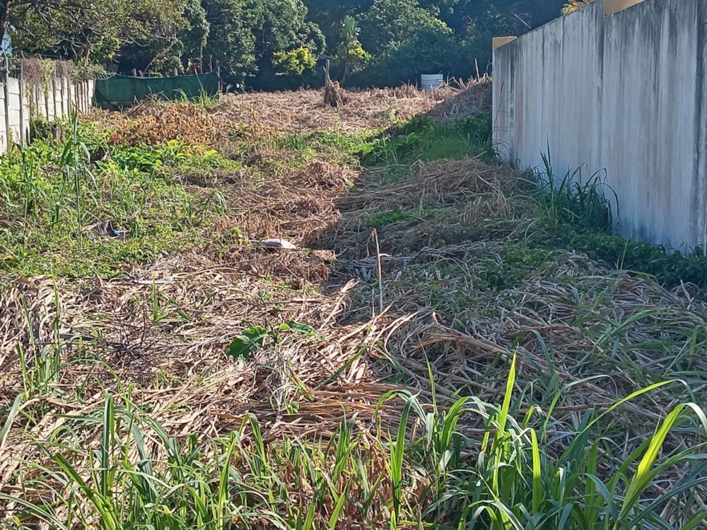 Vacant land for sale in Umtentweni - 1PSH1662483