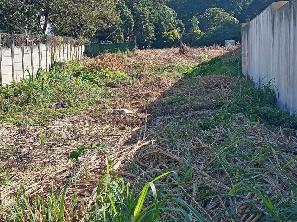 Vacant land for sale in Umtentweni - 1PSH1662483