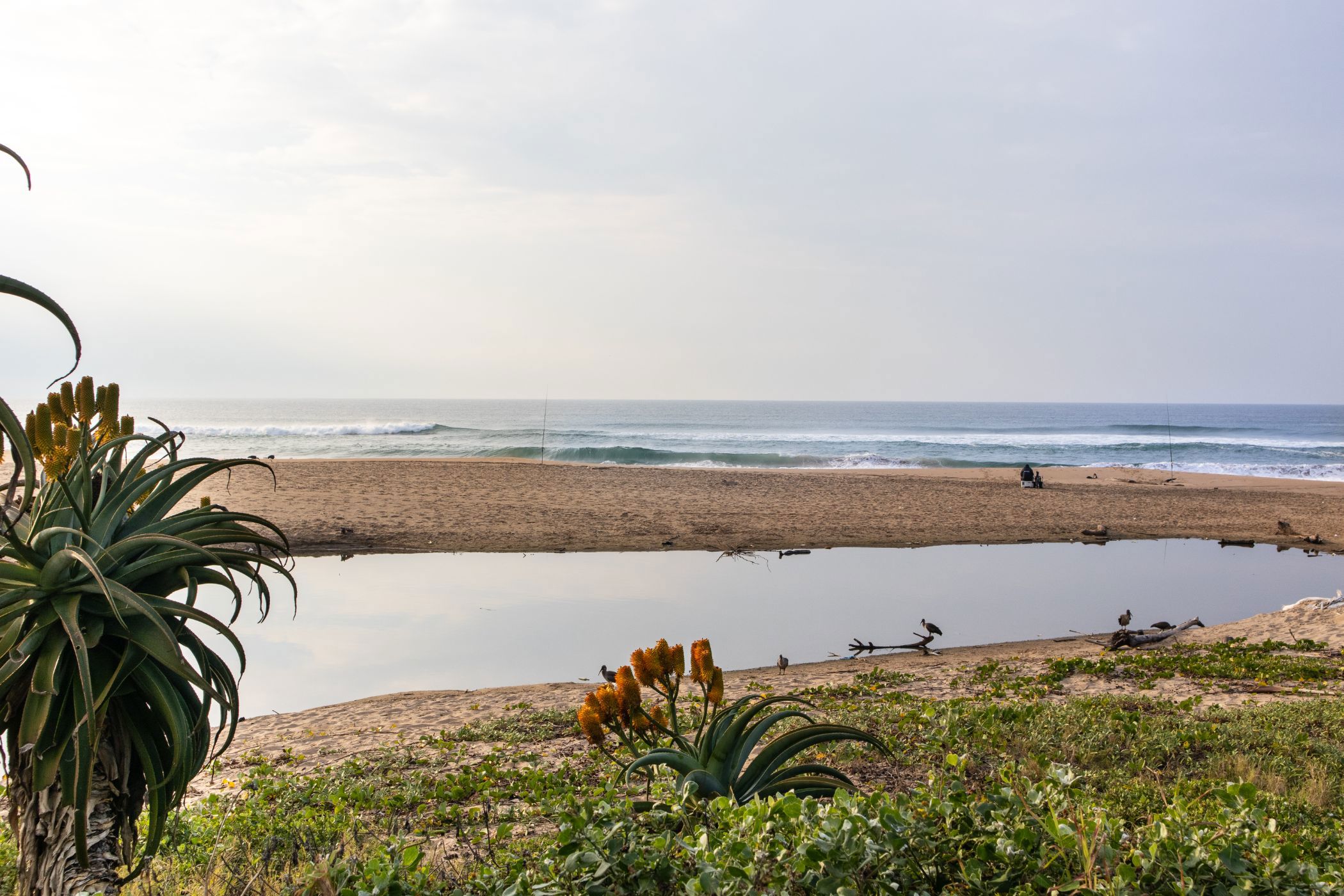 Apartment sold in Winklespruit - 1WB1663467