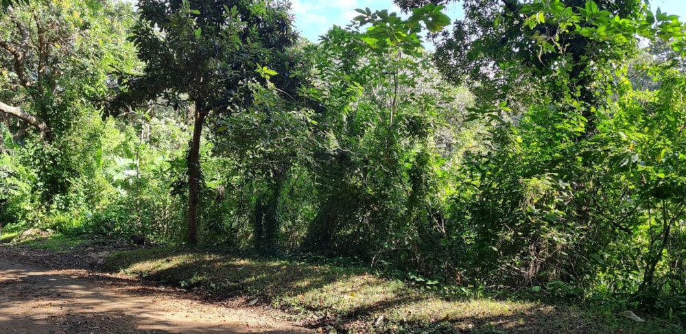 Residential vacant land for sale in Glenmore Beach - 1PD1662589 Residential vacant land for sale in Glenmore Beach - 1PD1662589