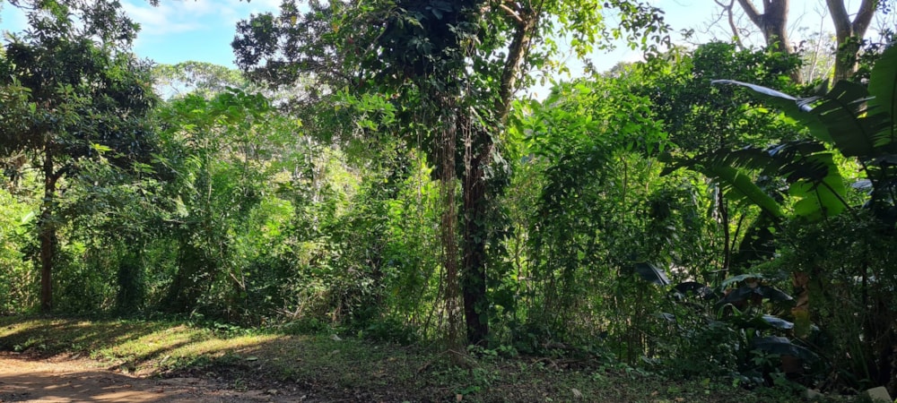 Residential vacant land for sale in Glenmore Beach - 1PD1662589