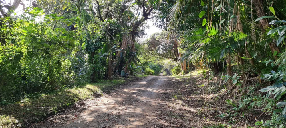 Residential vacant land for sale in Glenmore Beach - 1PD1662589