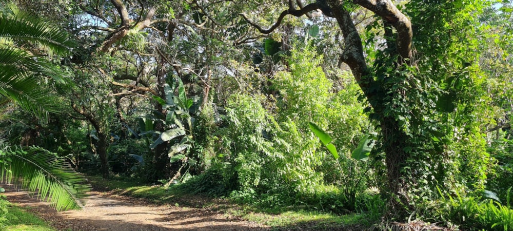 Residential vacant land for sale in Glenmore Beach - 1PD1662589