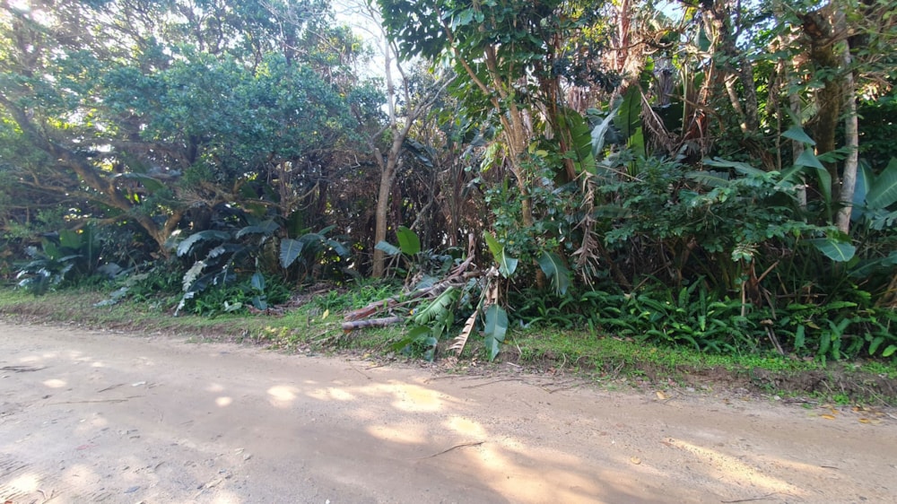 Residential vacant land for sale in Leisure Bay - 1PD1661725 Residential vacant land for sale in Leisure Bay - 1PD1661725