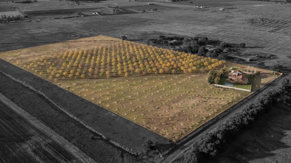 Smallholding for sale in Bains Vlei - 1BX1729661