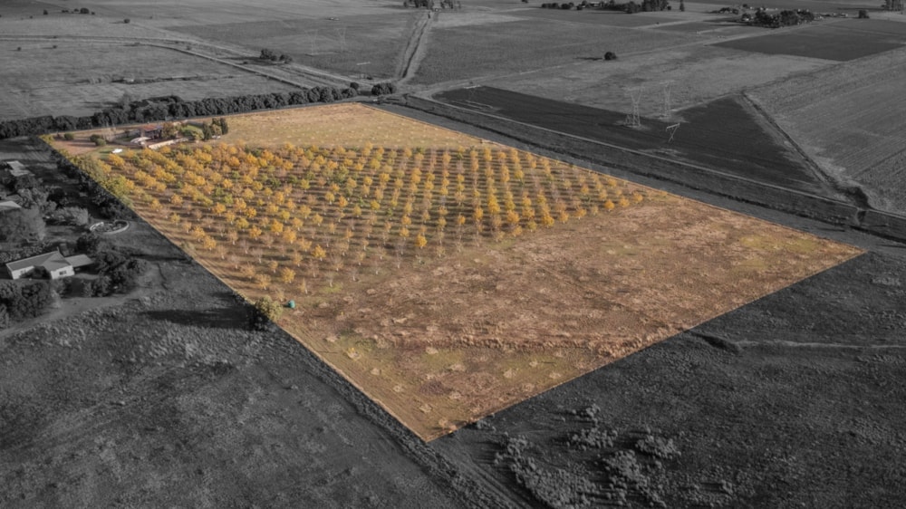 Smallholding for sale in Bains Vlei - 1BX1729661