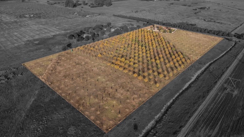 Smallholding for sale in Bains Vlei - 1BX1729661