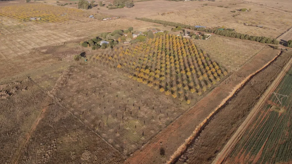Smallholding sold in Bains Vlei - 1BX1729661