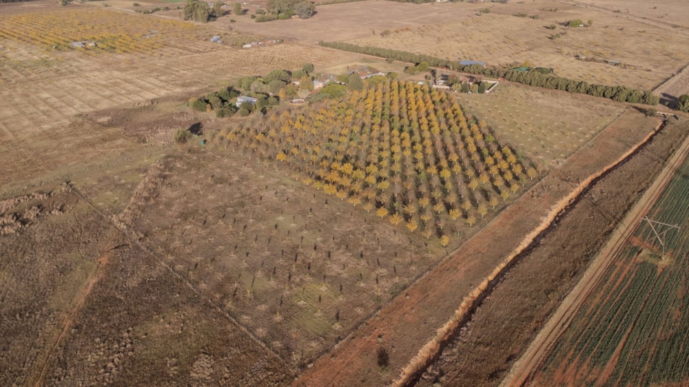 Smallholding for sale in Bains Vlei - 1BX1729661