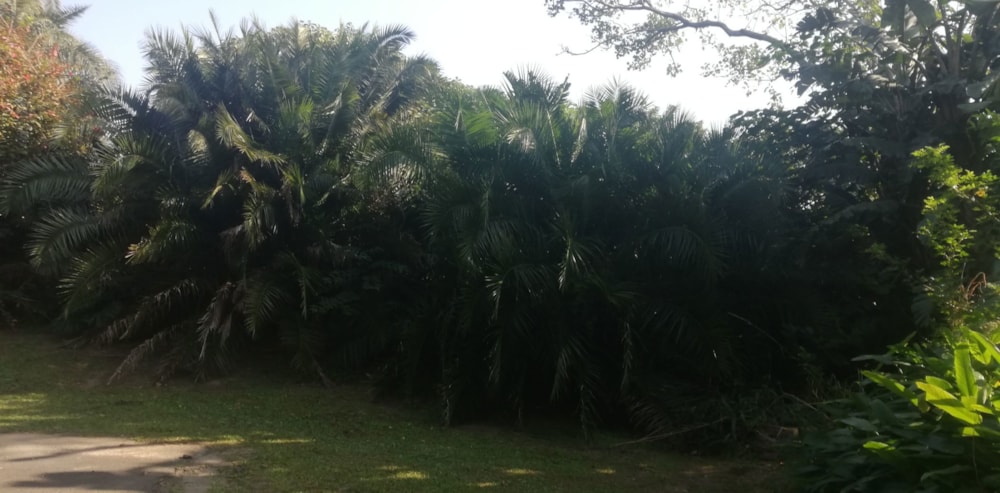 Residential vacant land for sale in Southport - 1PSH1663418 Residential vacant land for sale in Southport - 1PSH1663418