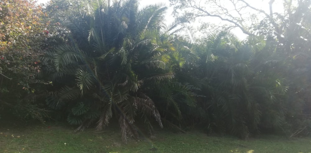 Residential vacant land for sale in Southport - 1PSH1663418 Residential vacant land for sale in Southport - 1PSH1663418