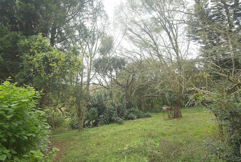 Residential vacant land sold in Bothas Hill - 1KF1643929 Residential vacant land sold in Bothas Hill - 1KF1643929