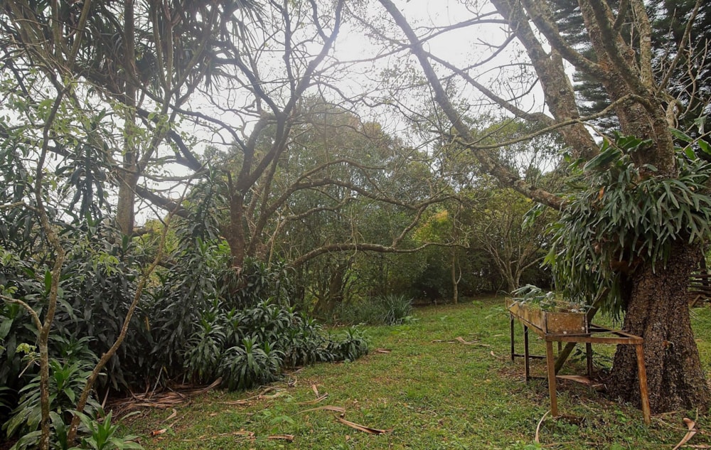 Residential vacant land sold in Bothas Hill - 1KF1643929 Residential vacant land sold in Bothas Hill - 1KF1643929