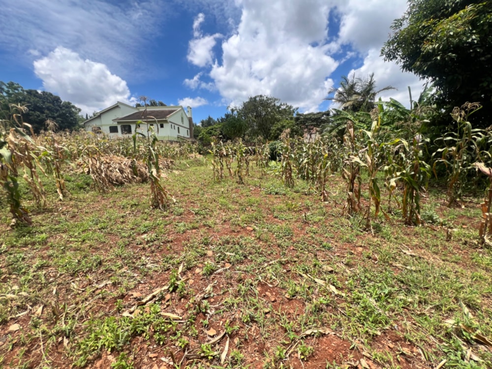 Vacant land for sale in Runda , Kenya - 3KE1714008 Vacant land for sale in Runda , Kenya - 3KE1714008