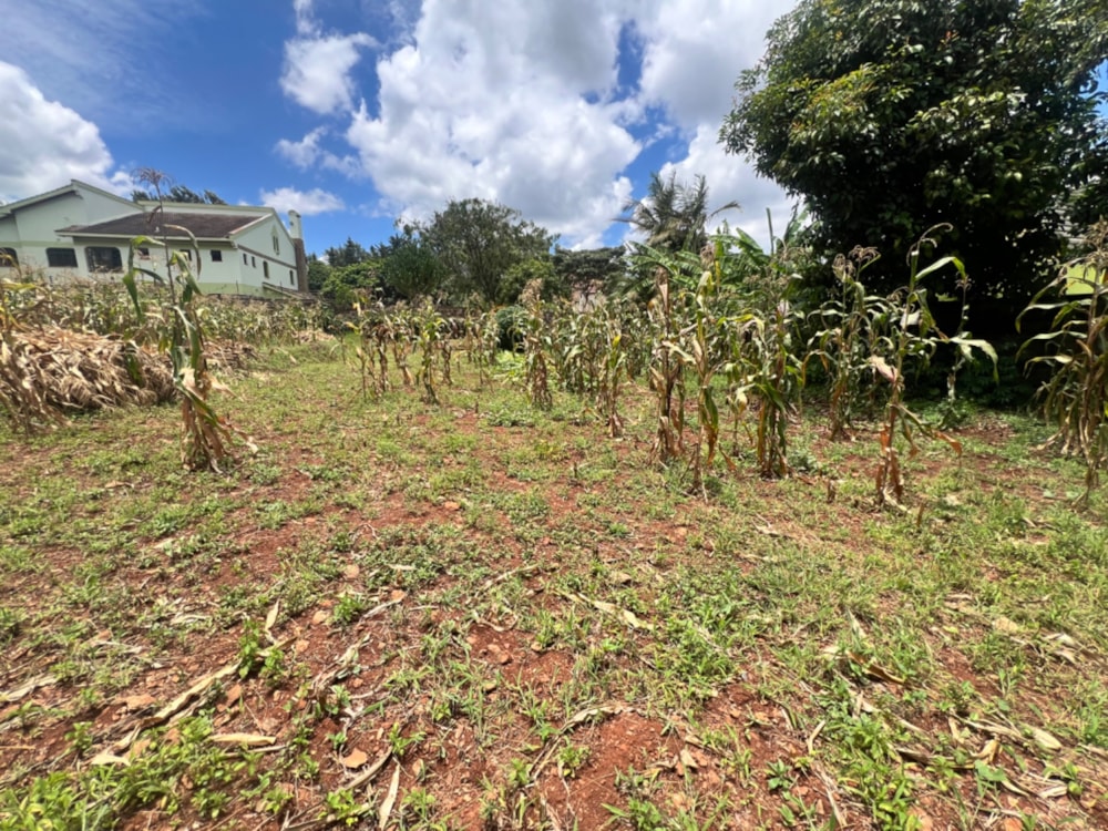 Vacant land for sale in Runda , Kenya - 3KE1714008 Vacant land for sale in Runda , Kenya - 3KE1714008