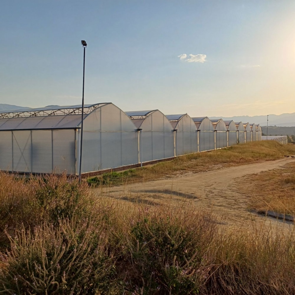 Nut farm for sale in Barberton Rural - 1NK1654697