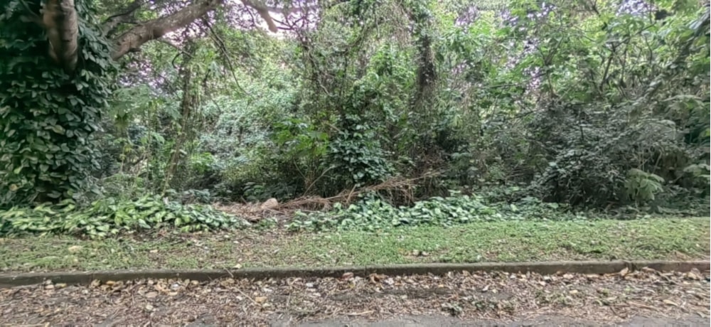 Vacant land for sale in Umtentweni - 1PSH1662466