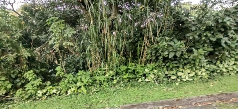 Vacant land for sale in Umtentweni - 1PSH1662466