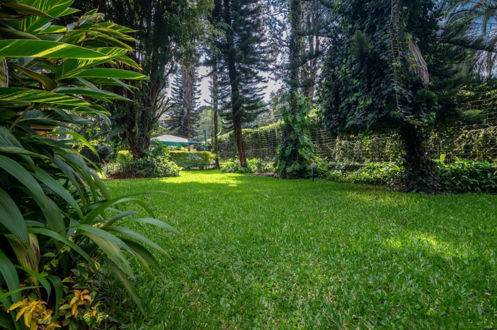 House sold in Spring Valley, Kenya - 3KE1656908 House sold in Spring Valley, Kenya - 3KE1656908