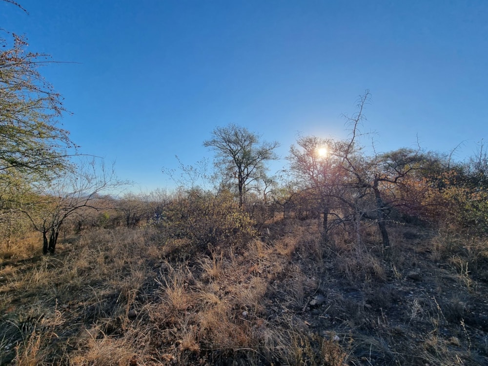 Residential vacant land for sale in Elephant Rock Eco Estate - 1HS1660871