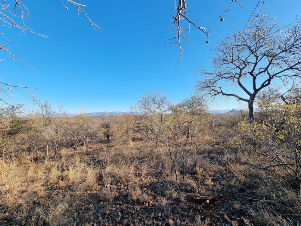 Residential vacant land for sale in Elephant Rock Eco Estate - 1HS1660871