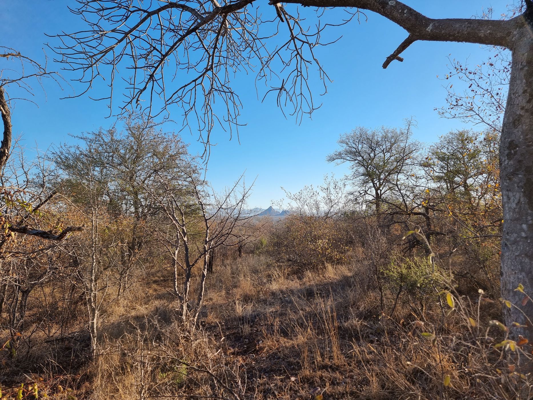 Residential vacant land for sale in Elephant Rock Eco Estate - 1HS1660871