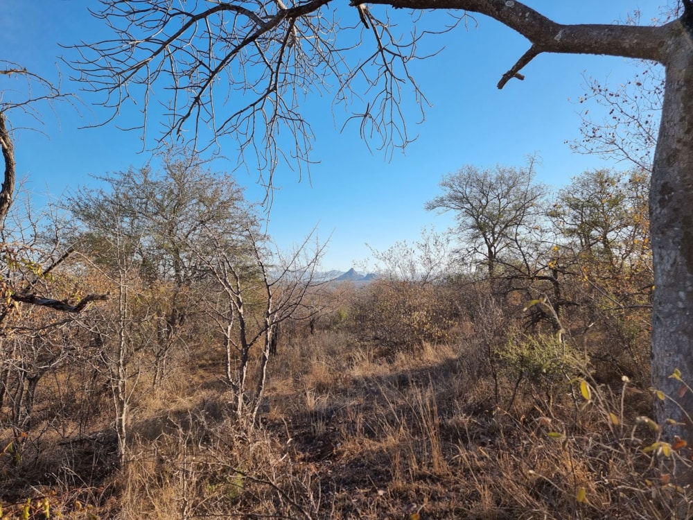 Residential vacant land for sale in Elephant Rock Eco Estate - 1HS1660871