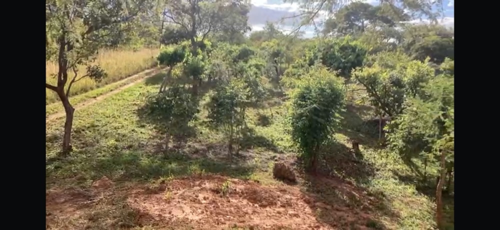 Residential vacant land for sale in Palabana, Lusaka Province, Zambia - 3ZA1660298 Residential vacant land for sale in Palabana, Lusaka Province, Zambia - 3ZA1660298