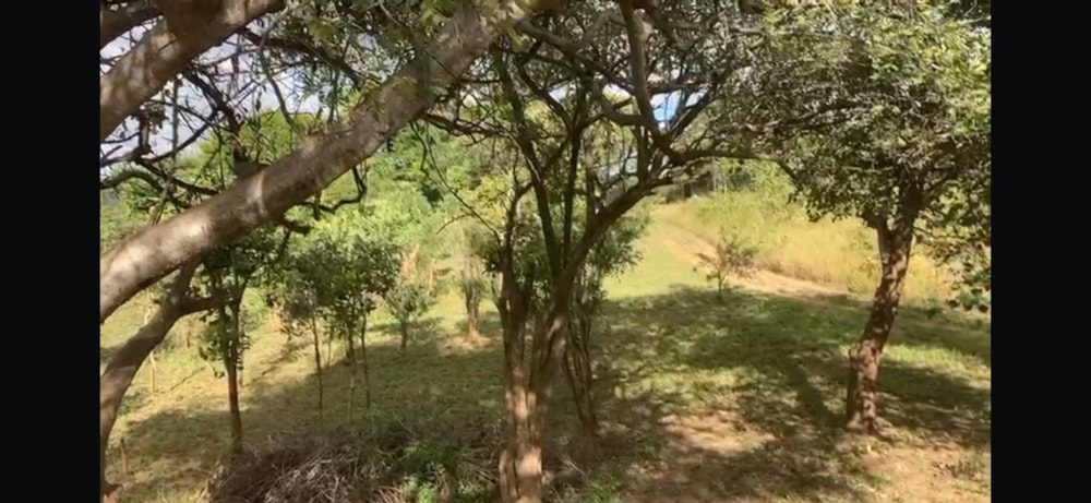 Residential vacant land for sale in Palabana, Lusaka Province, Zambia - 3ZA1660298 Residential vacant land for sale in Palabana, Lusaka Province, Zambia - 3ZA1660298